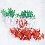 گروه طوفان توییتری #ThanksIRGC