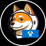 LAIKA The Cosmodog | CIS Chat