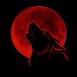 🐺WOLF Official Group Coin 🪙