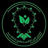 انجمن کارآفرینی و نوآوری دانشگاه میبد