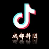 成都修车•抖阴集团