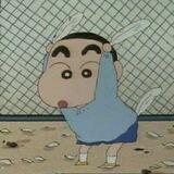 皮总集团