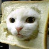 $INBRED Portal