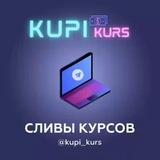 Сливы курсов 🔥
