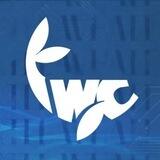 Whale CN