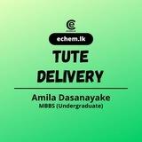 Echem Tutes Delivery