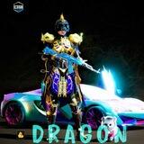DRAGON PRO FILE