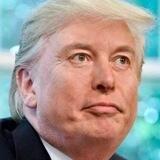TrumpLon Portal
