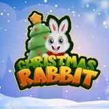 Christmas Rabbit Turkey
