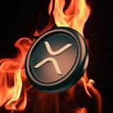 🔥 Xrp Burn Reflect 🔥