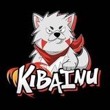 Kiba Inu Coin - BSC