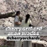 cherry orchards🍒ᵃⁿᵒⁿ ˢᵛᵃᵈᵇᵃ ♡ ˎˊ˗