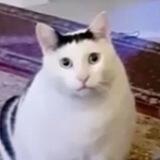 Инглишу Научишб?