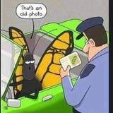 Metamorphosis AI - Community Group