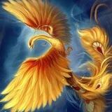 ZGFeng Global