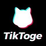 TikToge