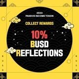 BUSD REFLECTIONS (10%)