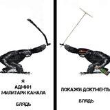 Чешир таежный и пропавшие путешественники