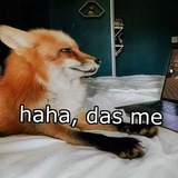 🦊Domesticated Fox / Домашний Лисёнок