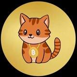 🐈 Satoshi Neko | BTC Auto-Reward Token | 9% BTC 🐈