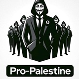 Pro-Palestine Hackers Movement (PPHM)
