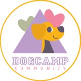 DOG CAMP community