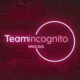 TeamIncognito Chat