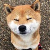 吃瓜🍉 曝光