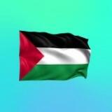 فلسطين
