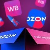 WB/OzonСкидон