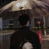 岸的偏门日记