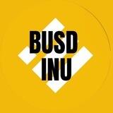 BUSD INU