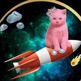 SaulPink Rocket 🚀