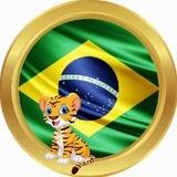 BNBTiger oficial Brazil🇧🇷 Comunidade