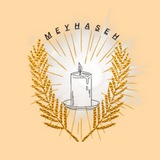 گالری میحسه
