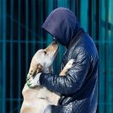 Друг человека 🐶