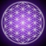 Expanding Consciousness