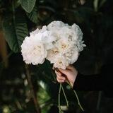 لِي انا ✨