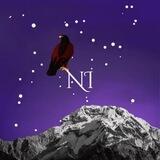 NI - THE PORTAL