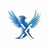 X/Twitter-bsc