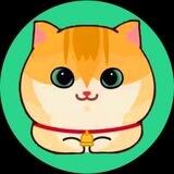 cat2.0