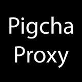 Pigcha加速器 客户交流群