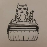 Культурны каток