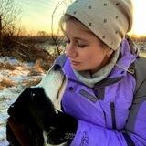 Домашняя жизнь вашей собаки