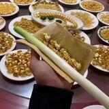 支付宝订单号🐮🌸镇辉娱乐休闲会所