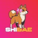 SHIBAE CHAT