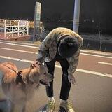 飞鸟洗资灰产上押500u