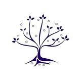 Ganzshop