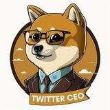 Twitter CEO Chinese🇨🇳