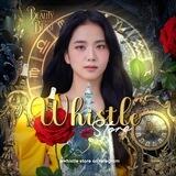 WHISTLE STORE | OPEN